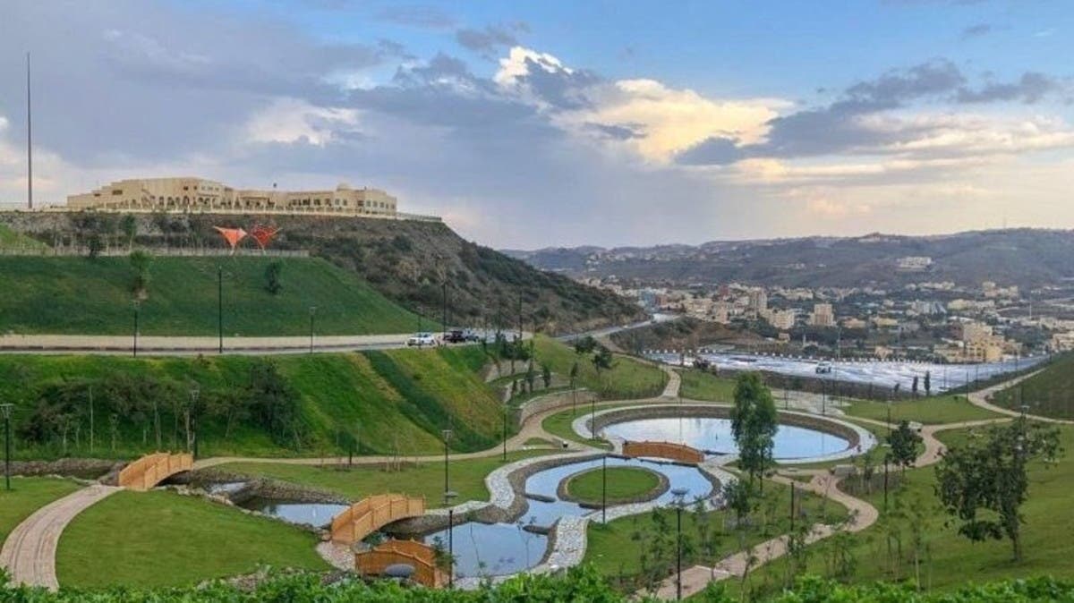 الباحة