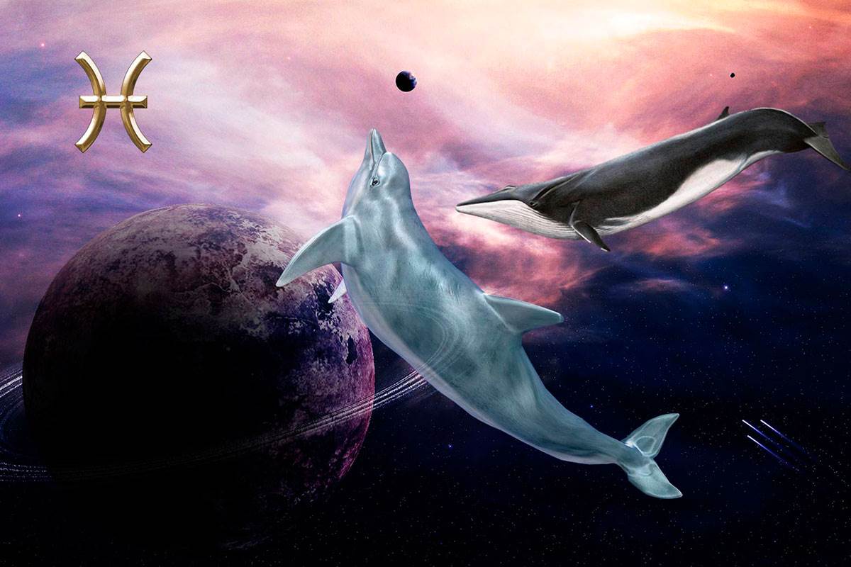 توقعات برج الحوت