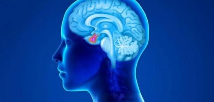 الغدة الصنوبرية