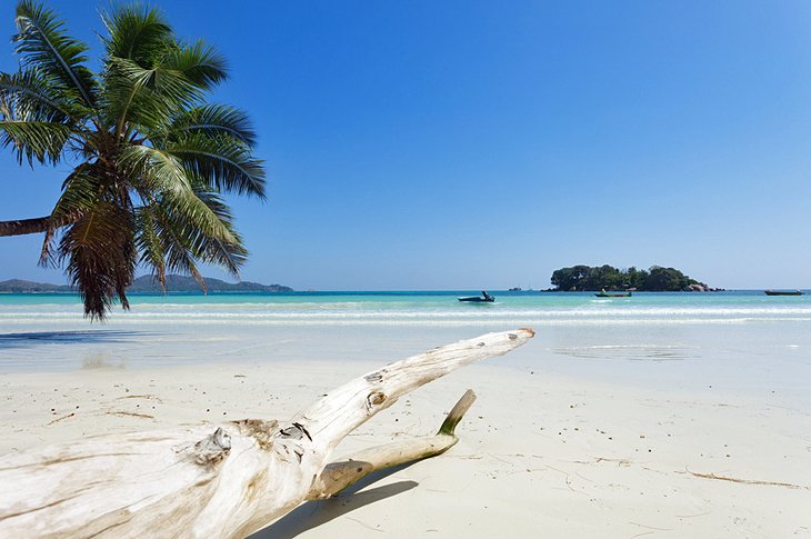 آنسيه فولبرت: