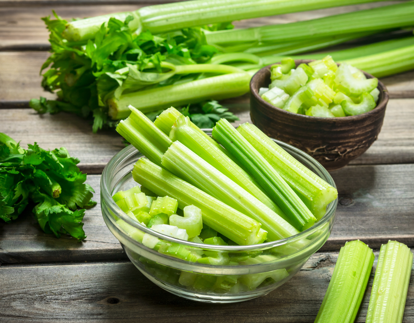 Вкус сельдерея. Сельдерей Apium graveolens. Сельдерей фитнес+ черешковый. Мико сельдерей. Сельдерей зелень.