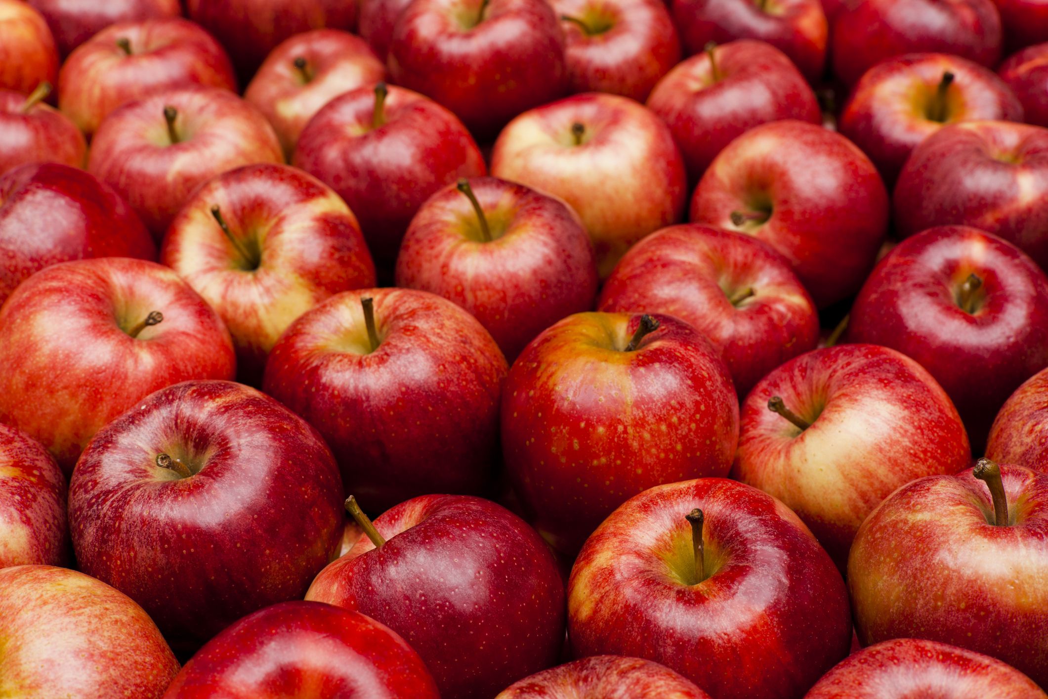 An apple. Яблоки Гала. Яблоки Red Royal Gala. Яблоки Роял Гала кг. Яблоко Сток.