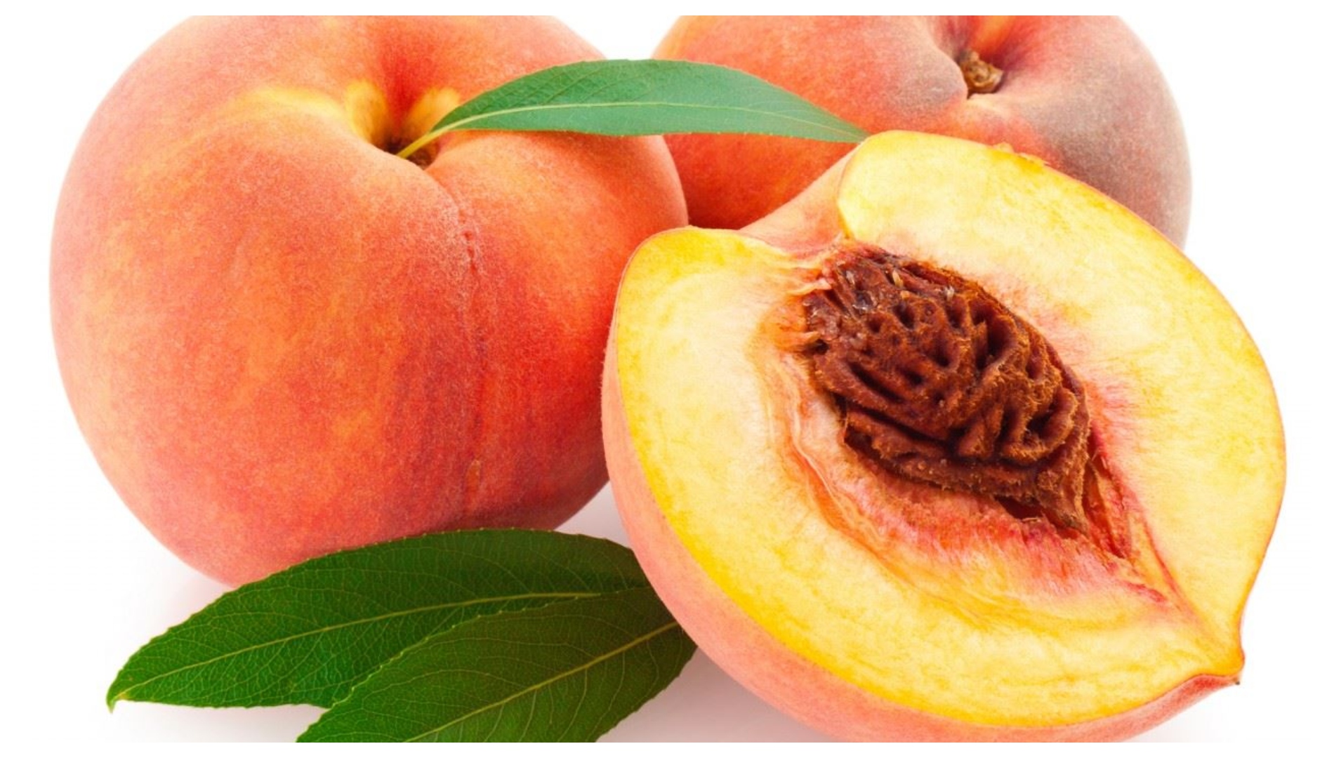 Гибрид яблока и персика