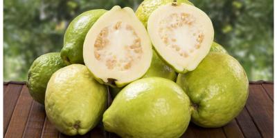 ما هي تأثيرات الجوافة على سرطان البروستاتا والثدي؟