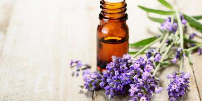 من نمو الشعر إلى علاج حب الشباب .. 6 فوائد مذهلة لزيت اللافندر