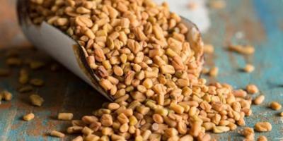 فوائد الحلبة الخيالية.. للصحة الجنسية وتكبير الثدي