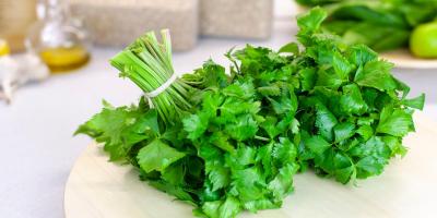 البقدونس والكزبرة..ما الفرق بينهما؟