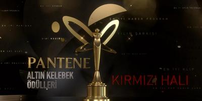 الفراشة الذهبية 2021.. المرشحات لفئة أفضل ممثلة كوميدية رومانسية