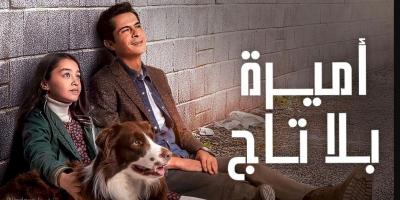 مسلسل أميرة بلا تاج يتصدر الترند - قصة ونجوم العمل