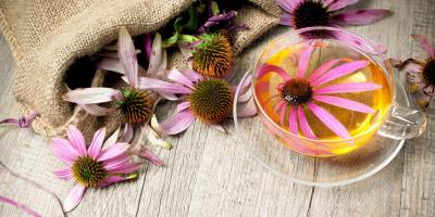 أقوى 7 نباتات طبية مدعومة بالدراسات والأبحاث..تعرفي عليها