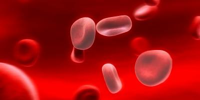 كل ما تريدين معرفته عن 