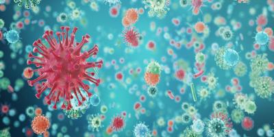 هل يستطيع الميكرويف قتل جزيئات فيروس كورونا على الطعام؟