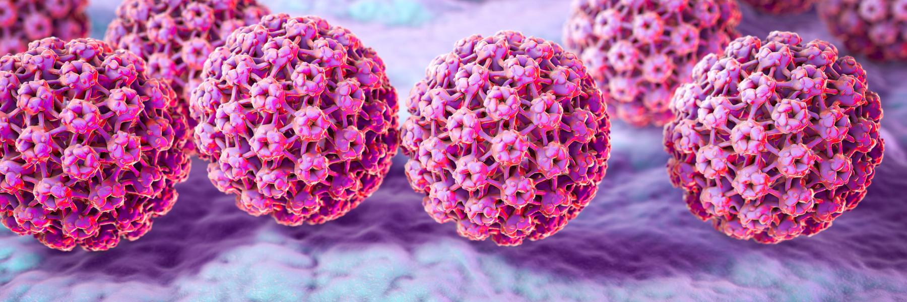 فيروس الورم الحليمي البشري (HPV)