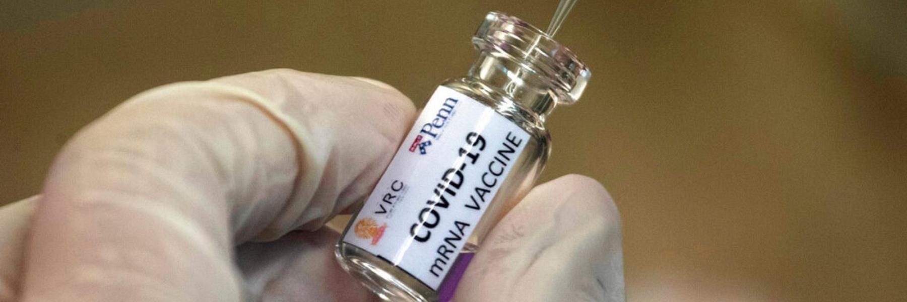 هل تحمل الماشية سر علاج كورونا؟ ابتكار علاج مناعي من دماء البقر