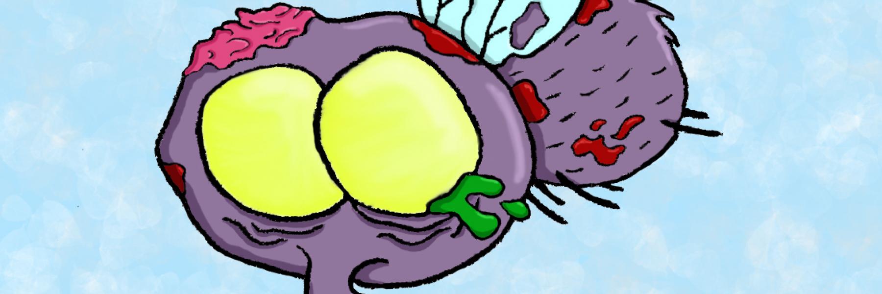 اكتشاف فطران جديدان يحولان الذباب إلى زومبي