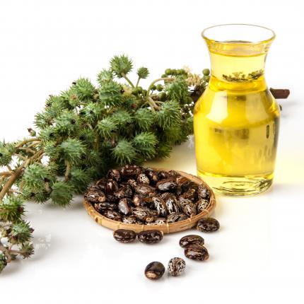 زيت الخروع