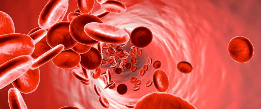 الأنيميا الخبيثة