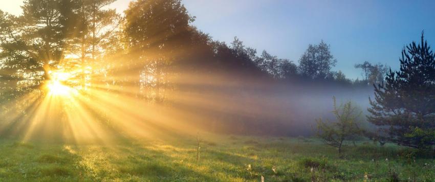 البطيخ لـ الشوكولاتة.. أطعمة تمنحك حماية طبيعية من آشعة الشمس البطيخ لـ الشوكولاتة.. أطعمة تمنحك حماية طبيعية من آشعة الشمس
