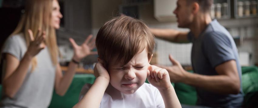 العنف الأسري