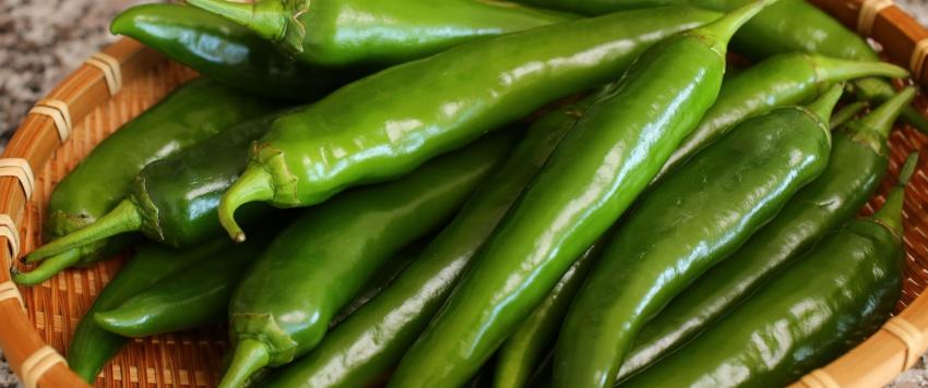 الفلفل الأخضر الحار