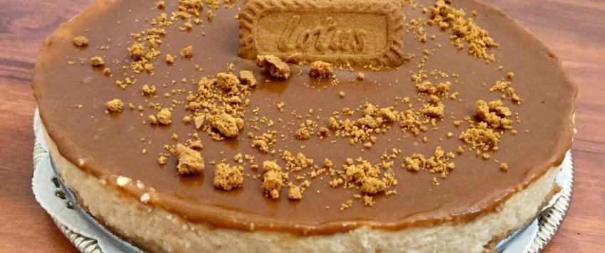 "تشيز كيك" اللوتس البارد