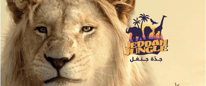 فعاليات جدة جنغل