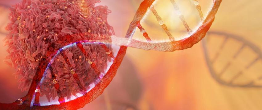 الخلايا السرطانية