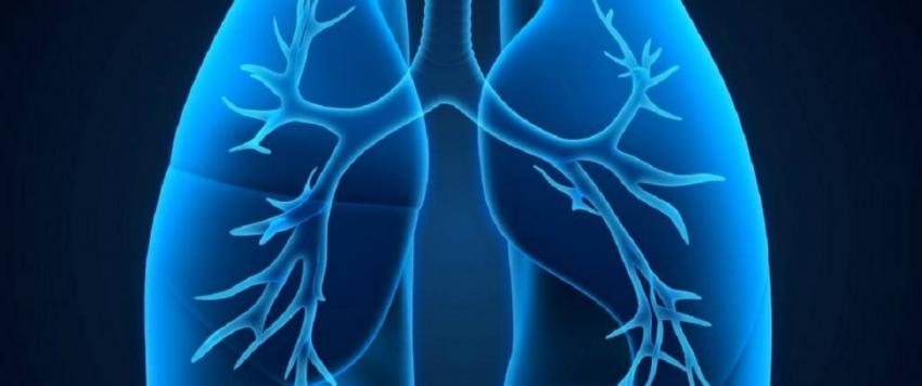 النجاح في الحفاظ على رئة بشرية للمتوفين تمهيداً لزراعتها للمرضي