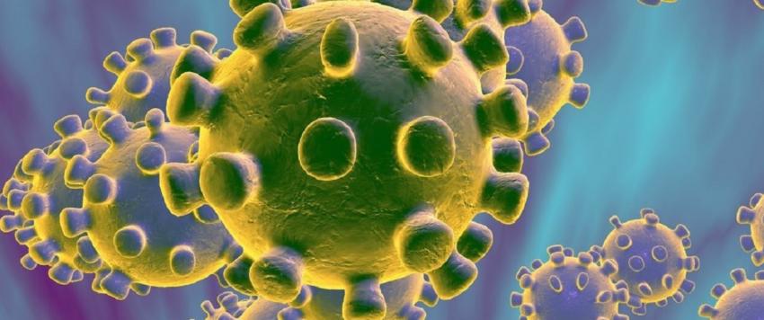 سلالة جديدة من الكورونا