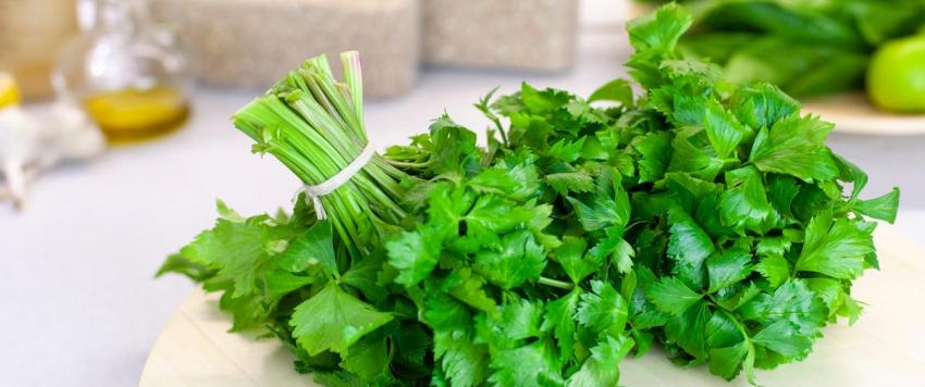 البقدونس والكزبرة..ما الفرق بينهما؟