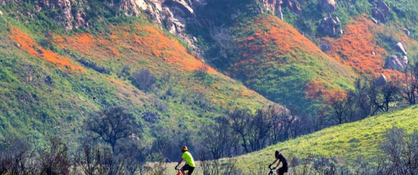 7 وجهات لمحبي المغامرة لتجربة لا تنسى حول العالم