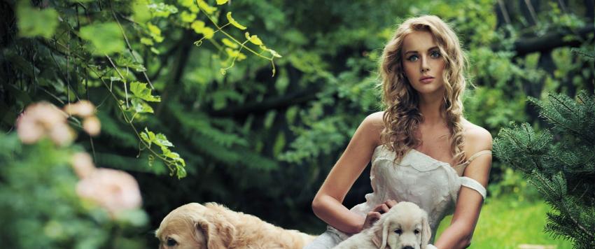 خدوش الكلاب