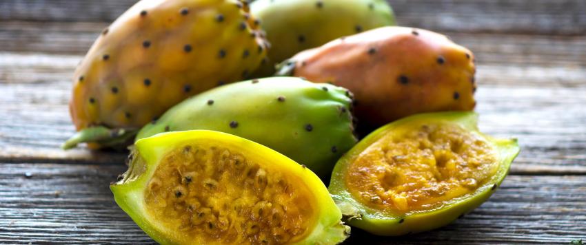 تعرفي على فوائد زيت التين الشوكي على الصحة