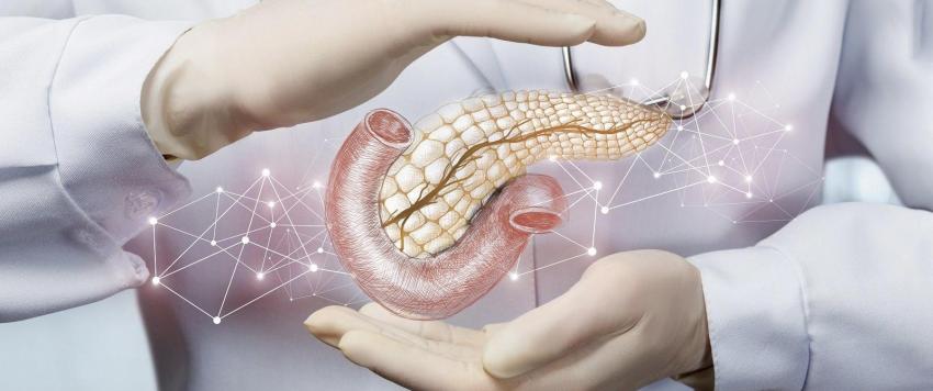 أطعمة صعبة الهضم تضر بصحة الجهاز الهضمي