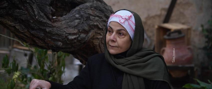 صباح الجزائري