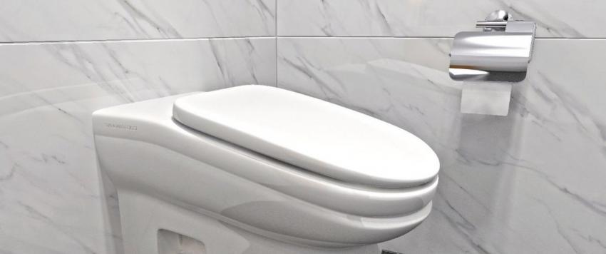 لحماية نفسك وعائلتك من كورونا .. التزمي هذه الآداب عند استخدام المرحاض