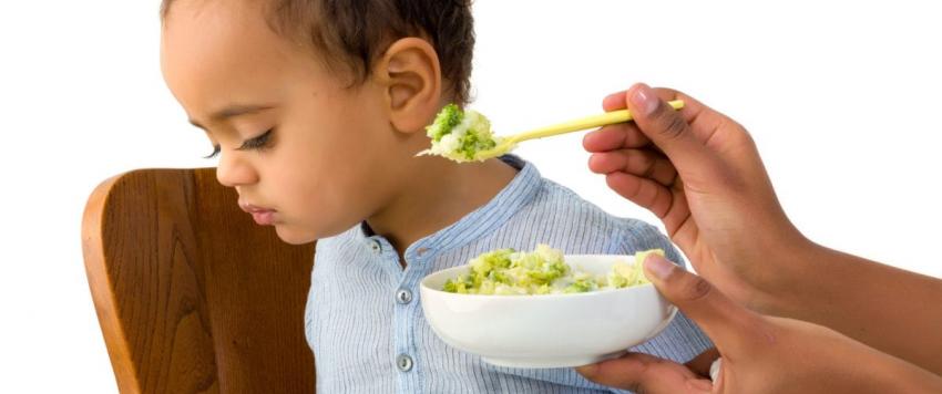 كيف تتعاملين مع من يصعب إرضائهم في الطعام؟