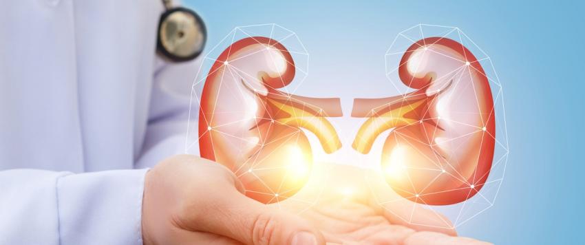 التهاب الكلى