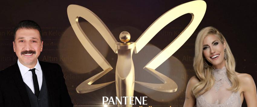 الفراشة الذهبية 