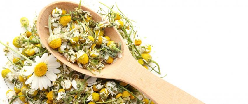 6 فوائد جمالية مدهشة لمغلي البابونج.. تعرفي عليها!