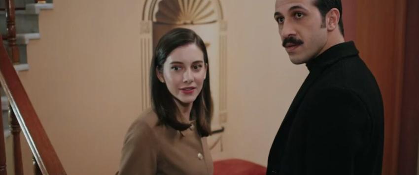 طائر الرفراف