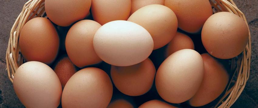 الطريقة المثالية للتأكد من سلامة البيض