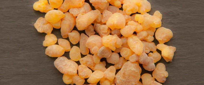 ما هو لبان الذكر