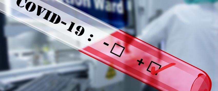 فيروس كورونا