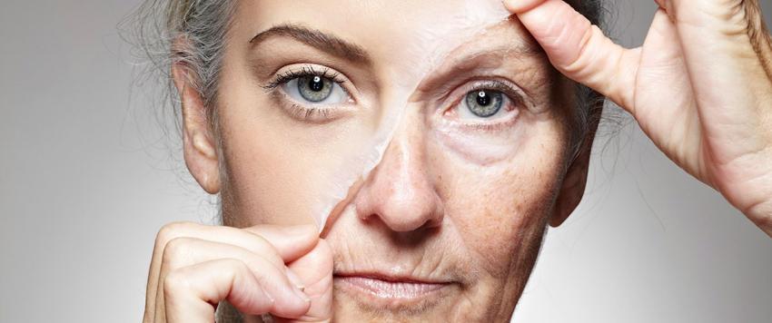 الشيخوخة الشيخوخة