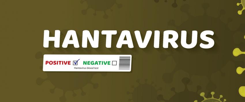 ما هو فيروس هانتا؟