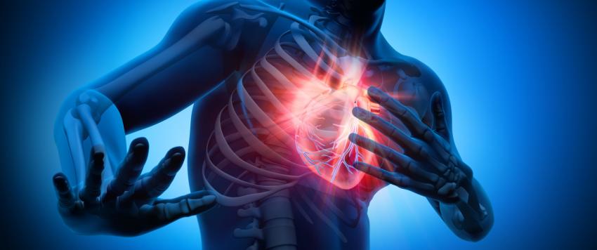 النوبات القلبية