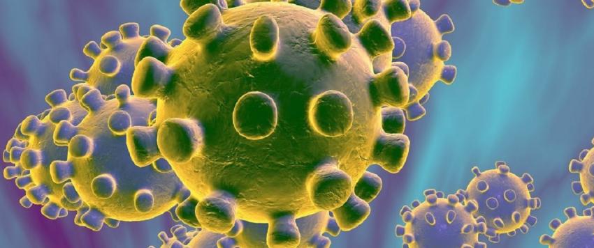 الكورونا