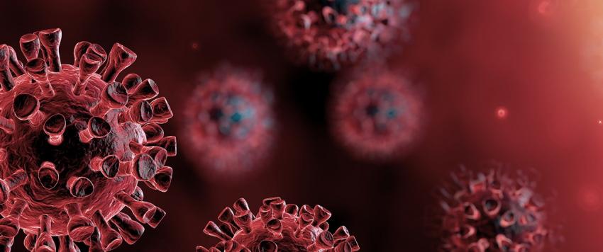 شبح فيروس كورونا يعود من جديد مع سلالة أكثر إنتشاراً!!