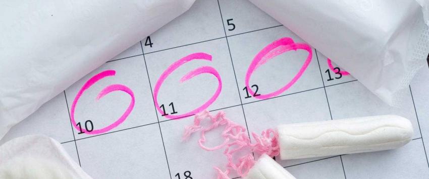 الدورة الشهرية